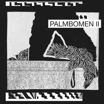 Palmbomen II by Palmbomen II