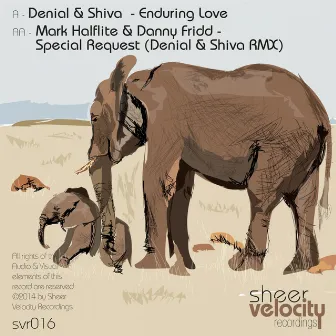 Enduring Love / Special Request (Remix) by Shiva