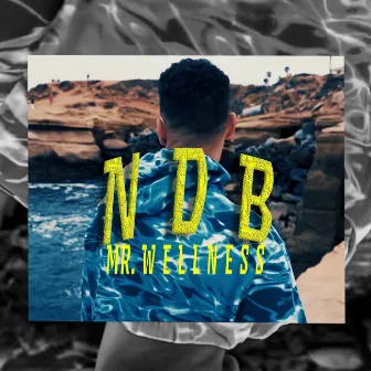 Mr. Wellness by NDB