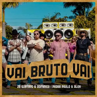 Vai Bruto Vai by Pedro Paulo & Alex