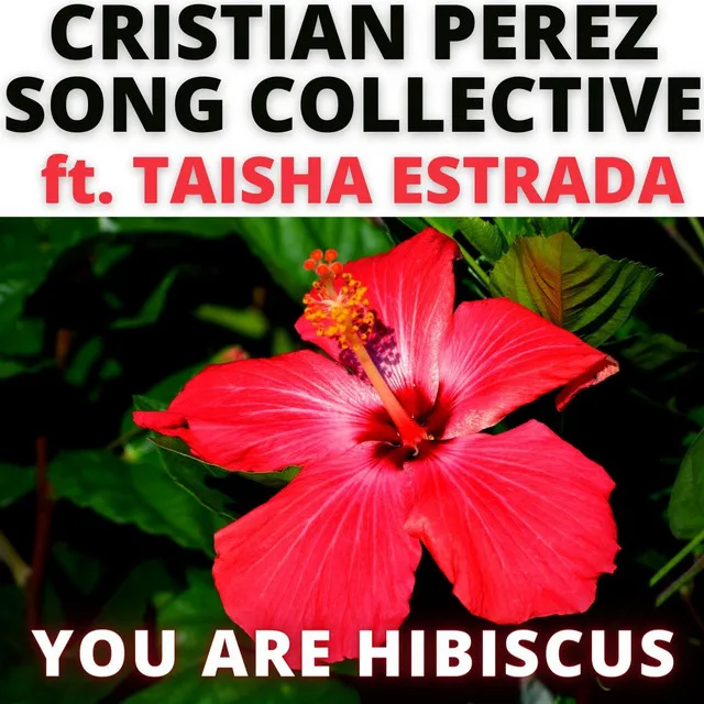 You Are Hibiscus