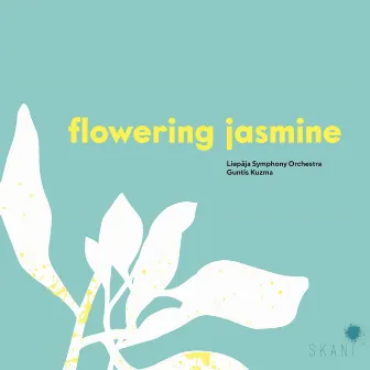 Flowering Jasmine by Unknown Artist