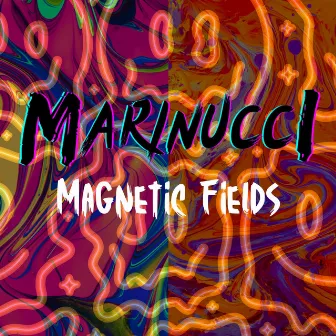 Magnetic Fields by Marinucci