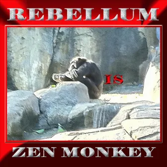 Rebellum Is Zen Monkey by Rebellum