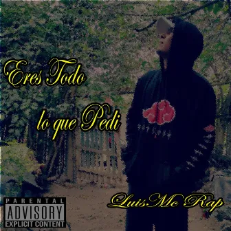 Eres todo lo que Pedi by LuisMc Rap