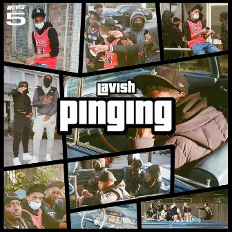 PINGING by Lavish