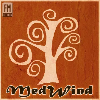 Medwind: Relaxing Music for Massage & Meditation by Renato Vecchio