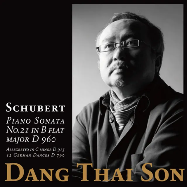 Piano Sonata No.21 In B-Flat Major, D.960 2nd mov. Andante sostenuto (Live)