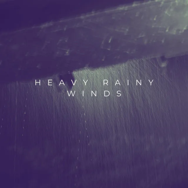 Heavy Rainy Winds