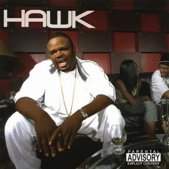 Hawk by Hawk