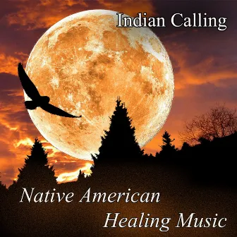 Native American Healing Music by Indian Calling