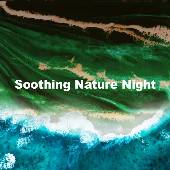 Soothing Nature Night by Sleep Sounds Of Nature