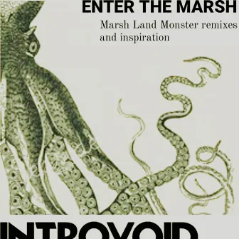 Enter The Marsh by Introvoid