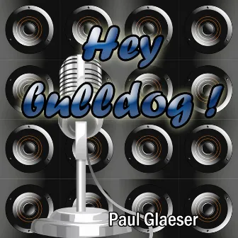 Hey Bulldog ! (Tribute to The Beatles) by Paul Glaeser