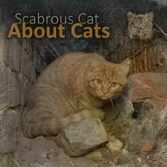 About Cats by Scabrous Cat