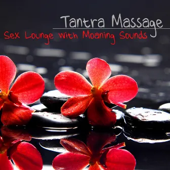 Tantra Massage Sex Lounge - Chill Out Moaning Sounds Sexy Music Selection by Unknown Artist