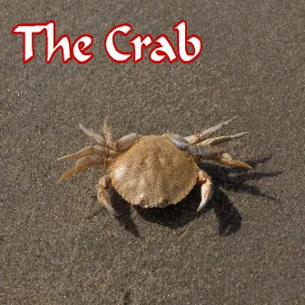 The Crab by Lucy Williams