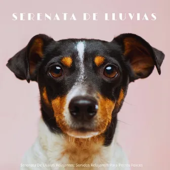 Serenata De Lluvias Relajantes: Sonidos Relajantes Para Perros Felices by Sonidos que los Perros Aman