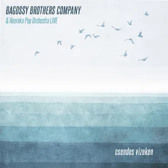 Csendes Vizeken (Live) by Bagossy Brothers Company