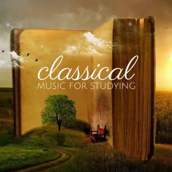 Classical Music for Studying by Orchestra da Camera Fiorentina