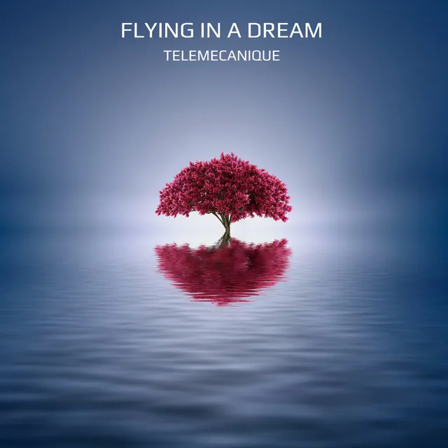 Flying in a Dream - Original Mix