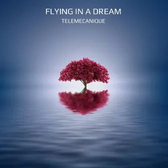 Flying in a Dream by Telemecanique