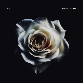 Heartache by Kai