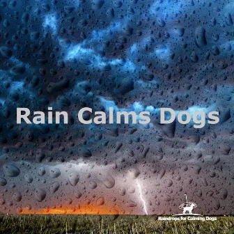 Rain Calms Dogs by Raindrops for Calming Dogs