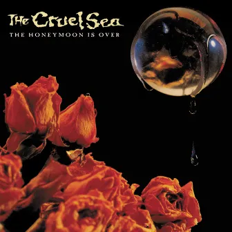 The Honeymoon Is Over (30th Anniversary Edition) by The Cruel Sea