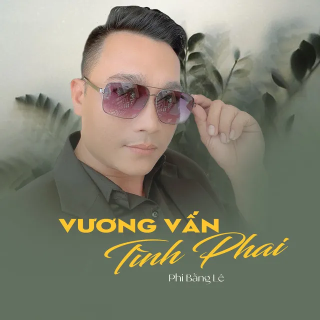 Vương Vấn Tình Phai