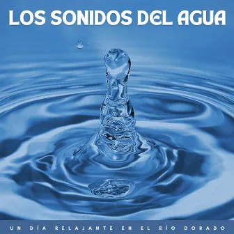 Los Sonidos Del Agua: Un Día Relajante En El Río Dorado by Ciencia del Agua