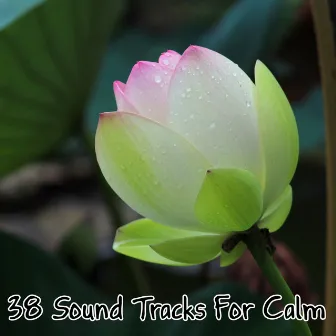 38 Sound Tracks For Calm by 