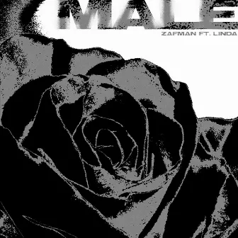 MALE by Zafman