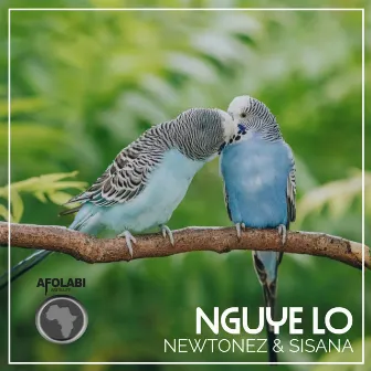 Nguye lo by Newtonez