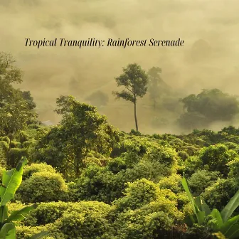 Tropical Tranquility: Rainforest Serenade by Lluvia del Bosque