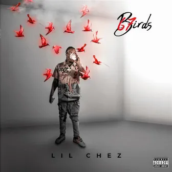 67 Birds by Lil Chez