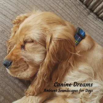 Canine Dreams: Ambient Soundscapes for Dogs by The Dog Music Guys