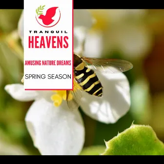 Amusing Nature Dreams- Spring Season by The World of Nature Sounds