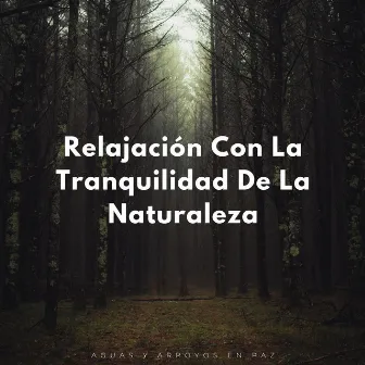 Relajación Con La Tranquilidad De La Naturaleza: Aguas Y Arroyos En Paz by Sonidos de agua dulce