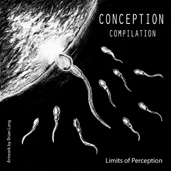 Conception by Limits of Perception