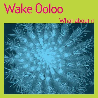 What About It by Wake Ooloo