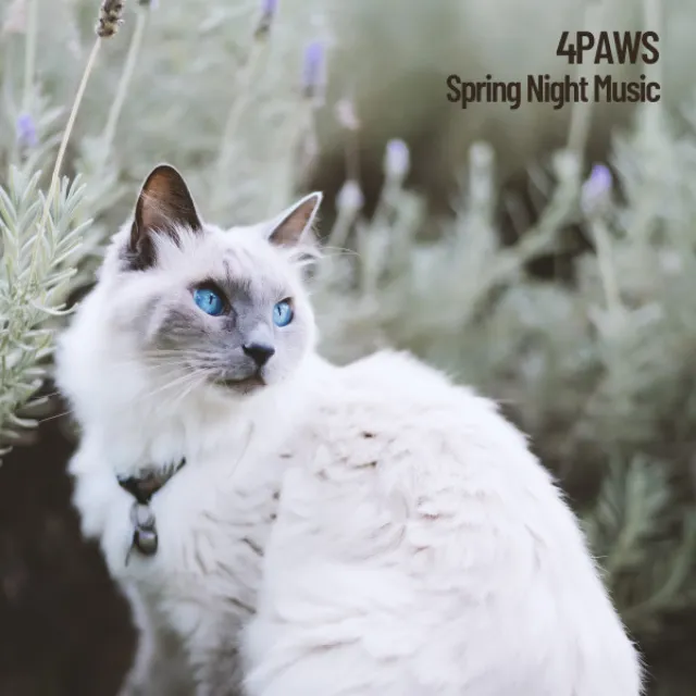 4Paws: Spring Night Music