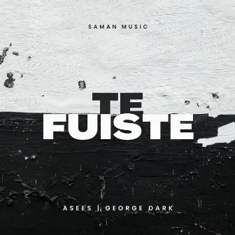 Te Fuiste by Unknown Artist