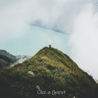 Like a Guest by Equinox