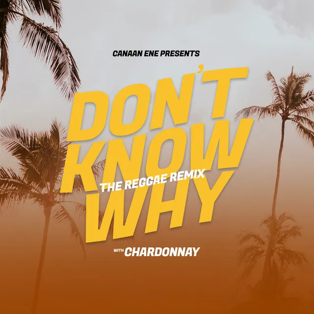 Don't Know Why - Reggae Remix