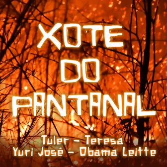 Xote do Pantanal by Yuri José