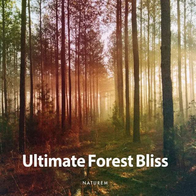 Ultimate Forest Bliss