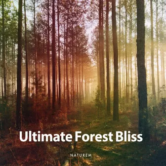 Ultimate Forest Bliss by NatuREM