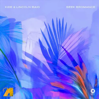 Seek Bromance by Lincoln Baio