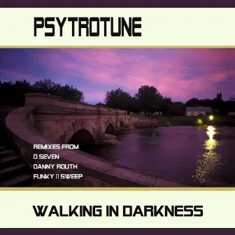 Walking In Darkness by Psytrotune